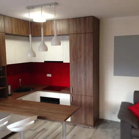 Dream Of בידגוז'יז'